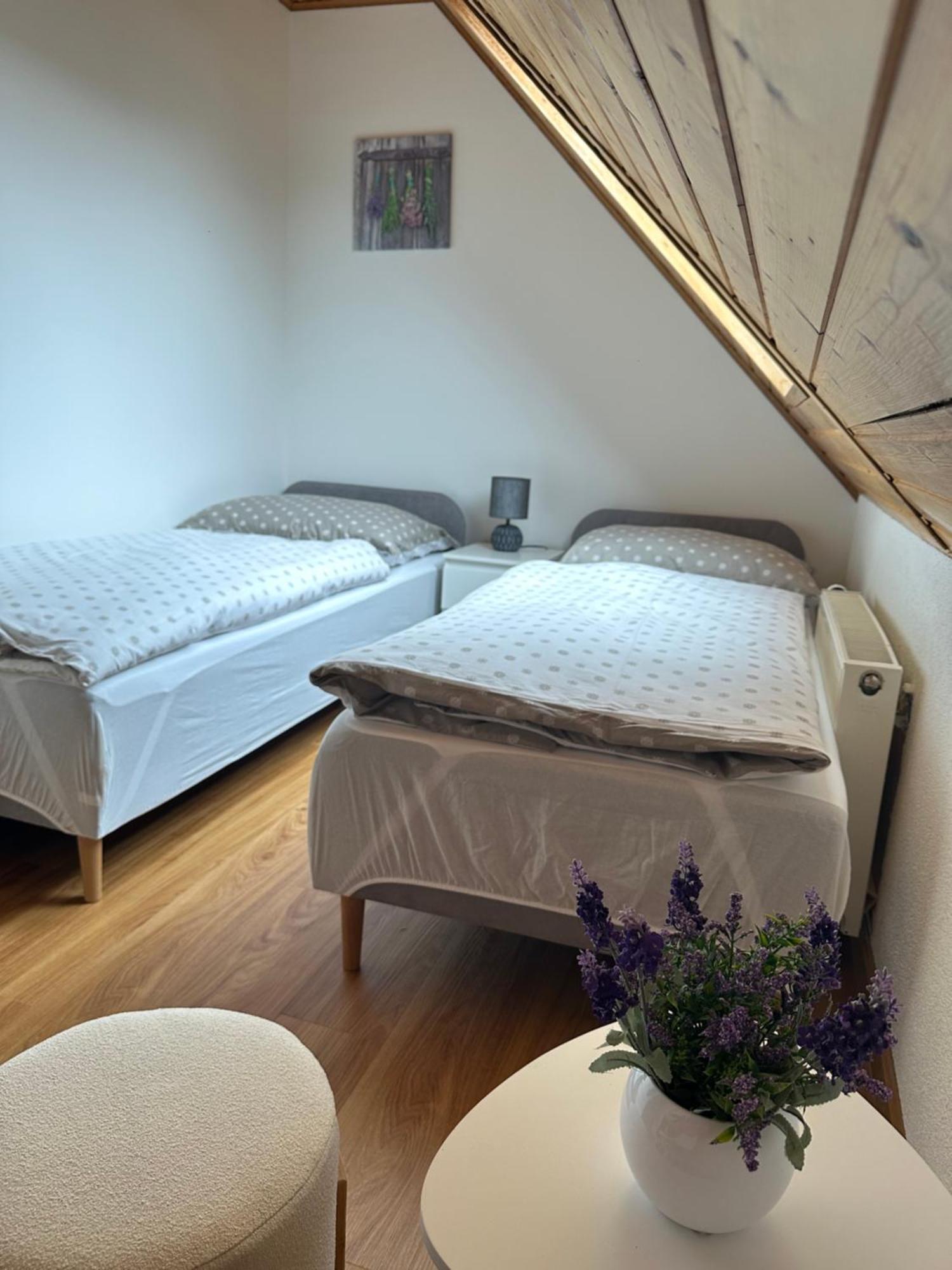 Apartman Jako U Babicky ติซา ภายนอก รูปภาพ